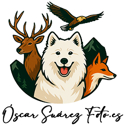 Óscar Suárez Foto - Óscar Suárez Foto